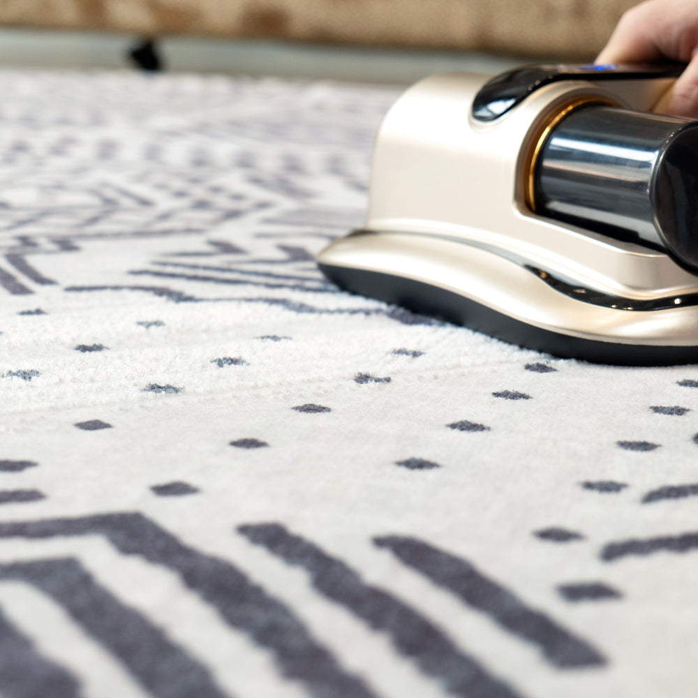 Person using a carpet cleaner on a patterned rug